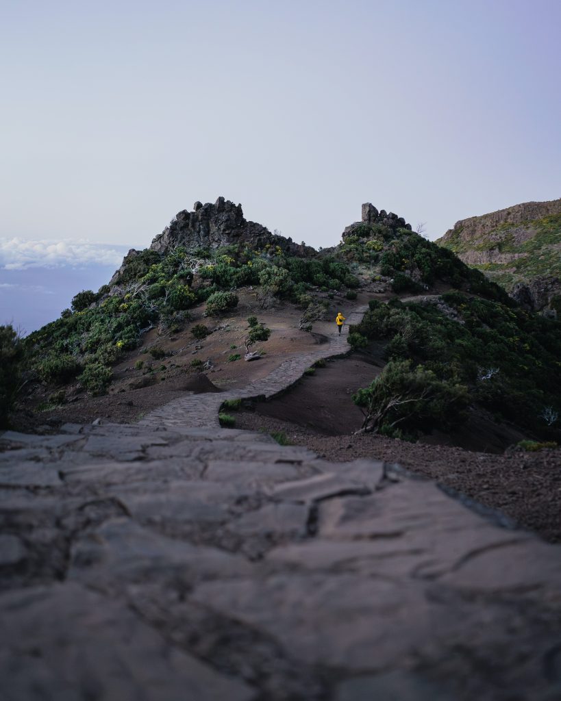 Cheminer-vers-soi, apprécier-le-chemin-parcouru