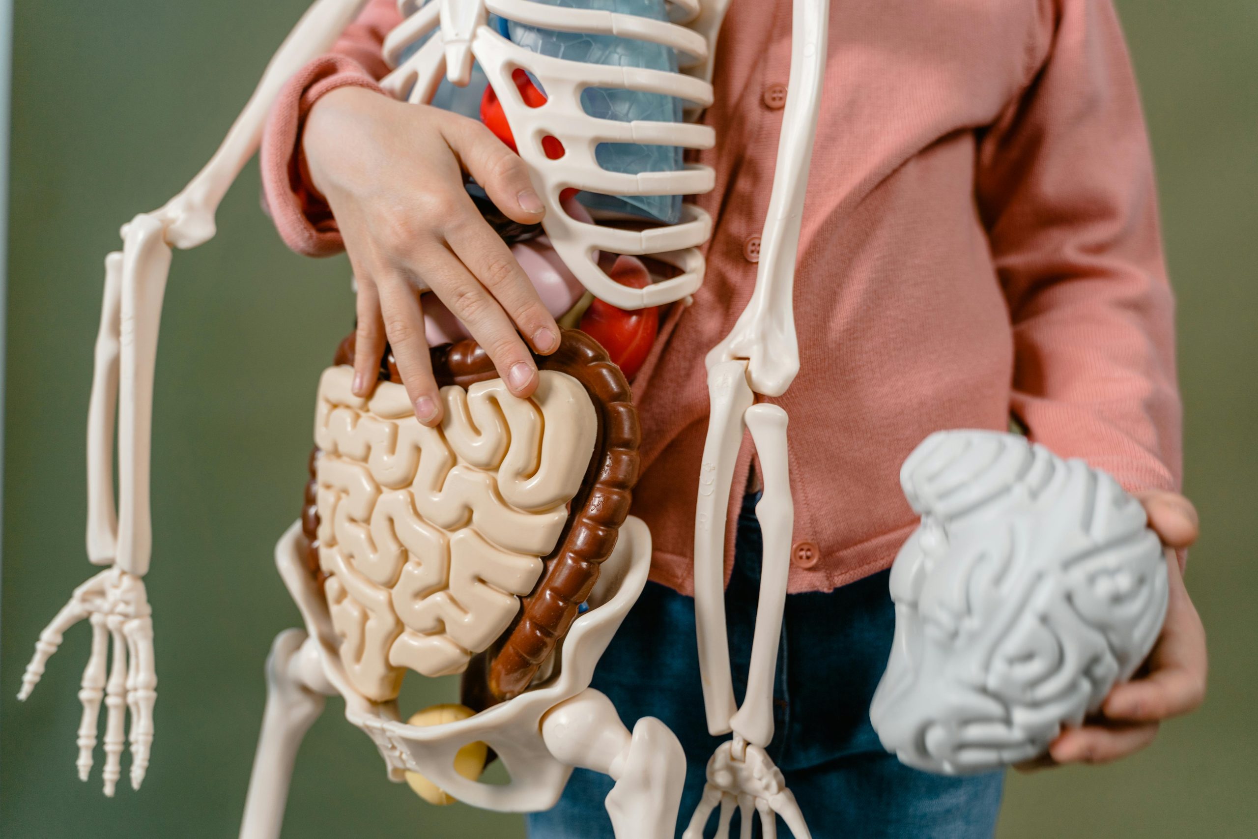 Le ventre notre 2e cerveau