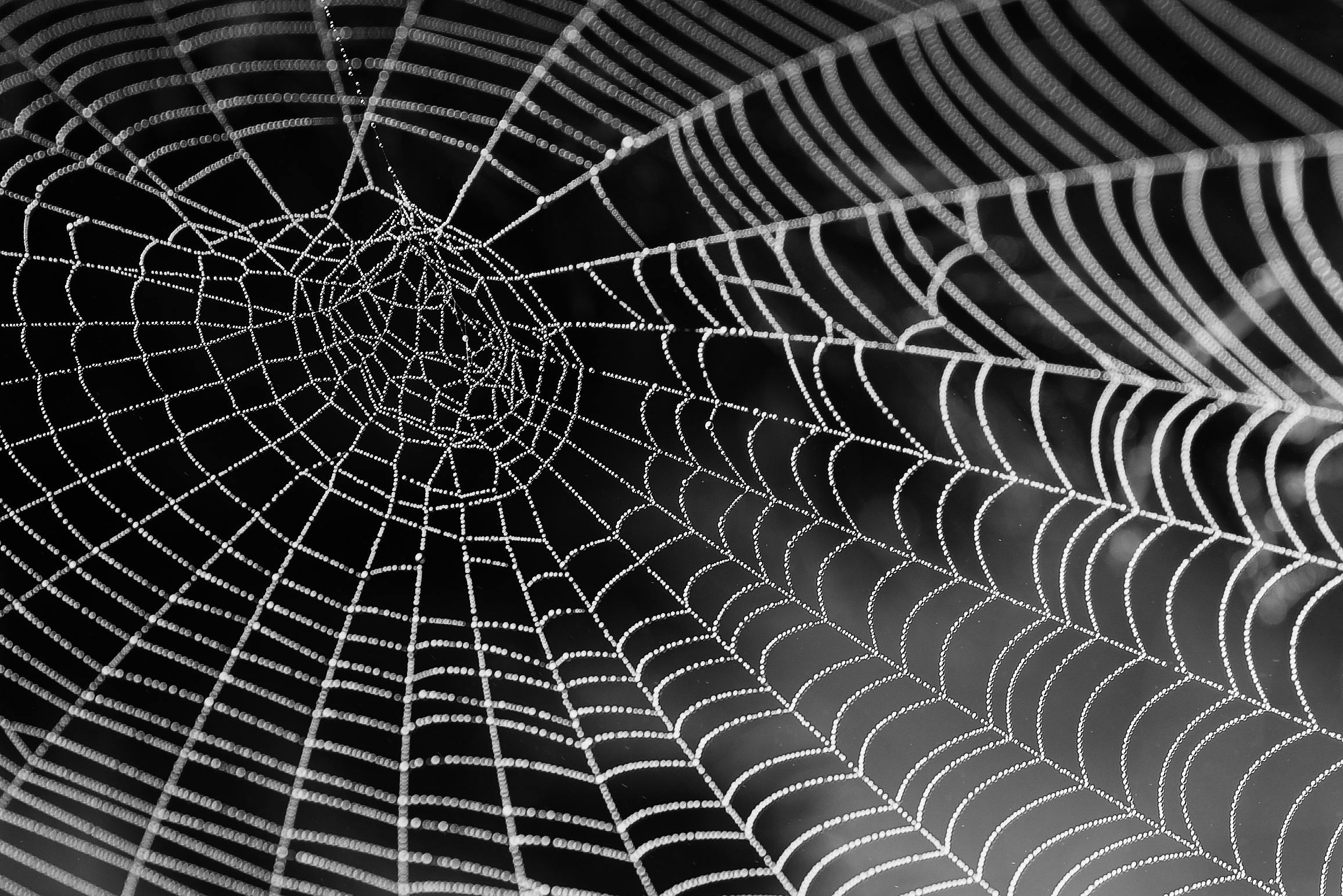 Fascias, tissage interne du corps