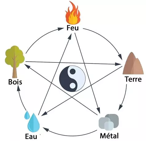 Les 5 éléménts dans le Chi Nei Tsang
