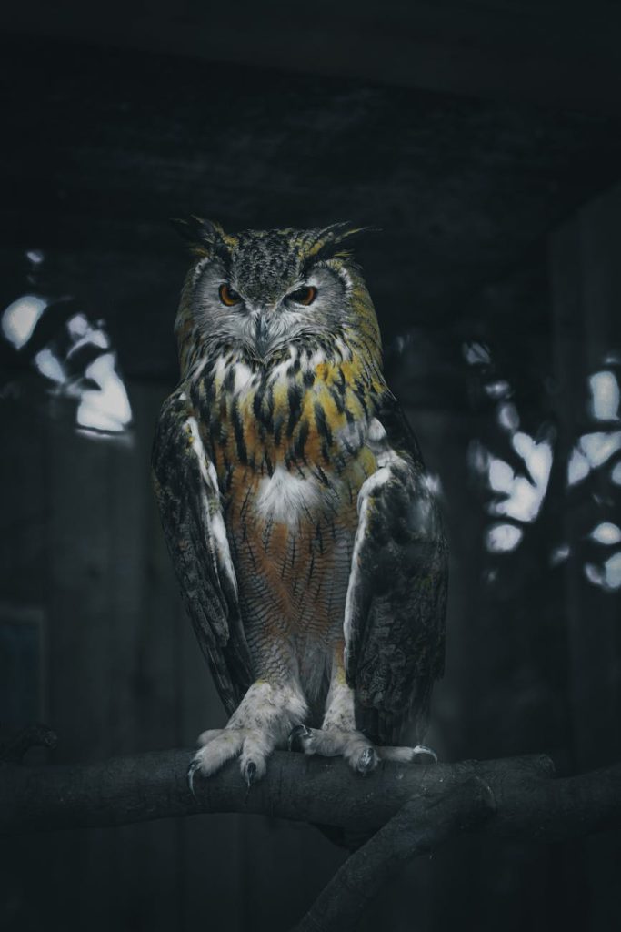 eagle owl resting on tree twig in night forest