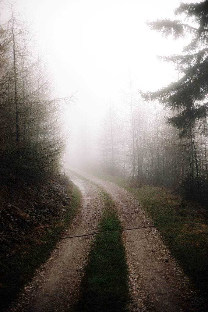 Le chemin existe. Le prochain pas est visible mais la destination ne l'est pas.