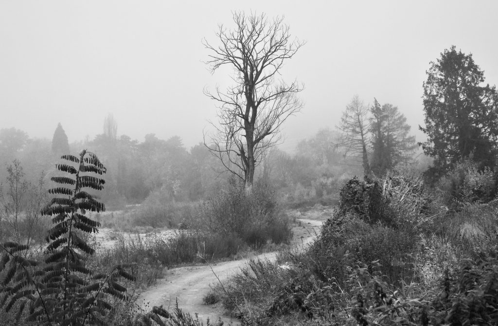 Le chemin existe.
De l'inconnu persiste.